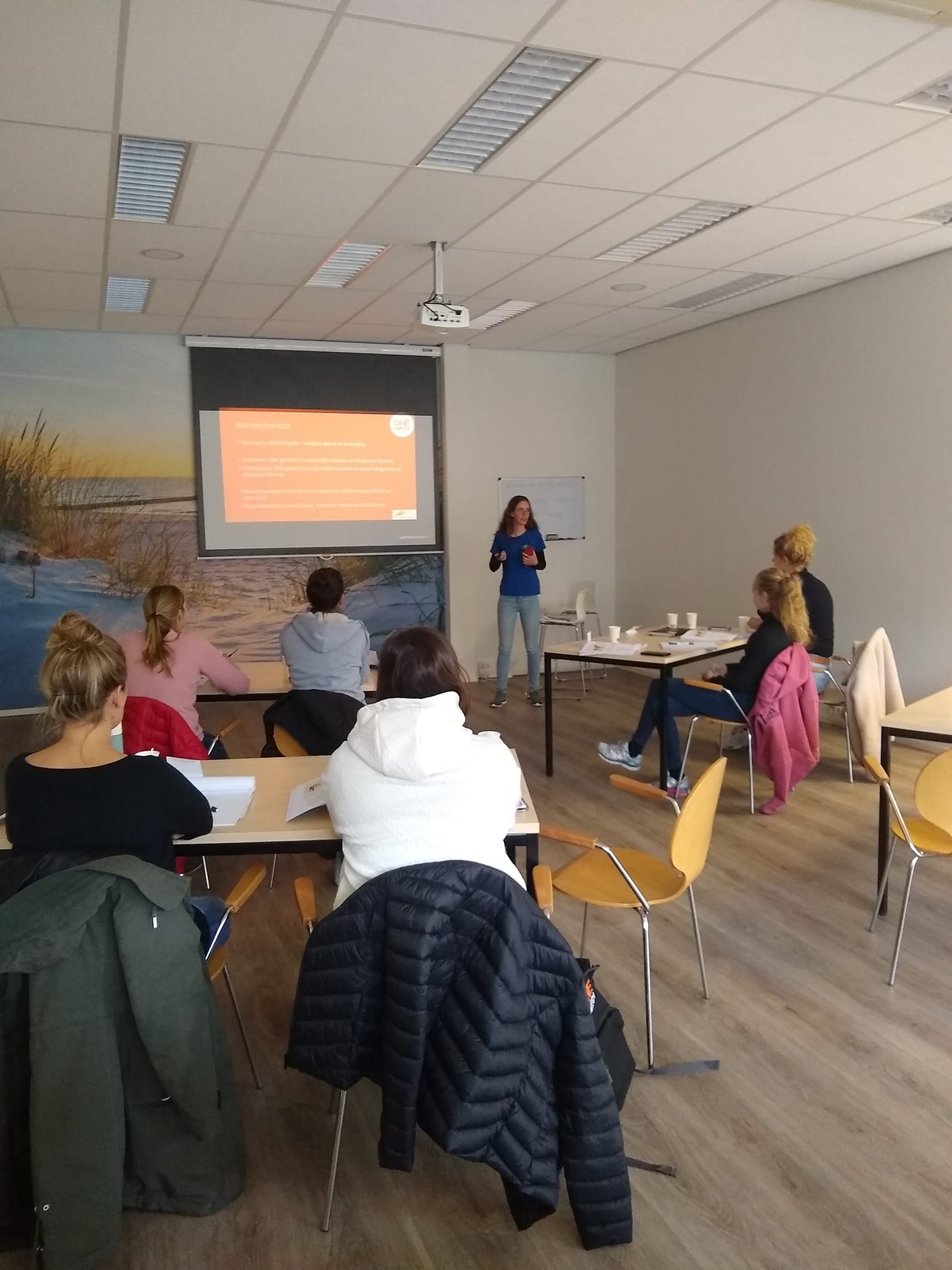 Basisopleiding ruitervitaal coaches One Switch