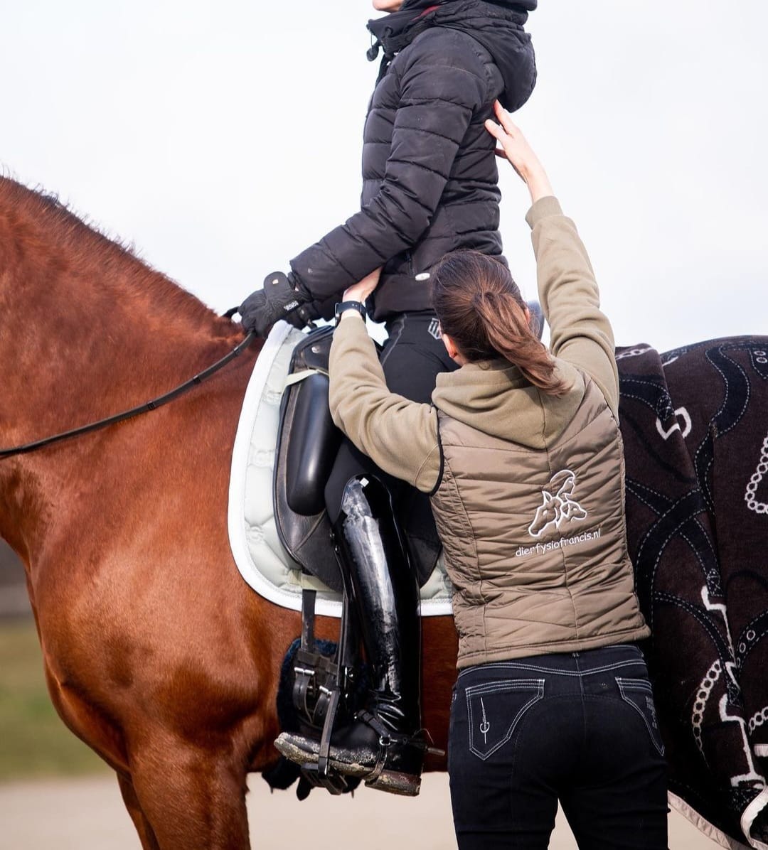 houding en zitcorrectie door Francis Gommans van het ZorgNetwerk Voor Ruiters