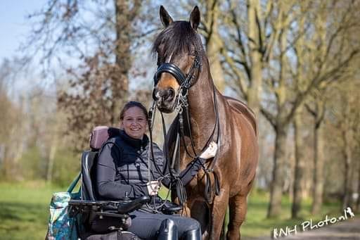 Afbeelding van aangepaste teugel