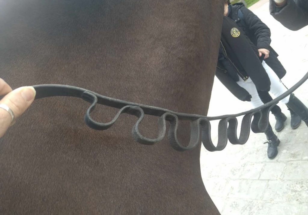 Aangepaste teugel met Finger Loops