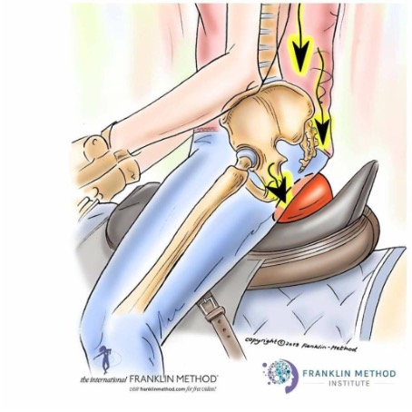 Franklin methode paardrijden
