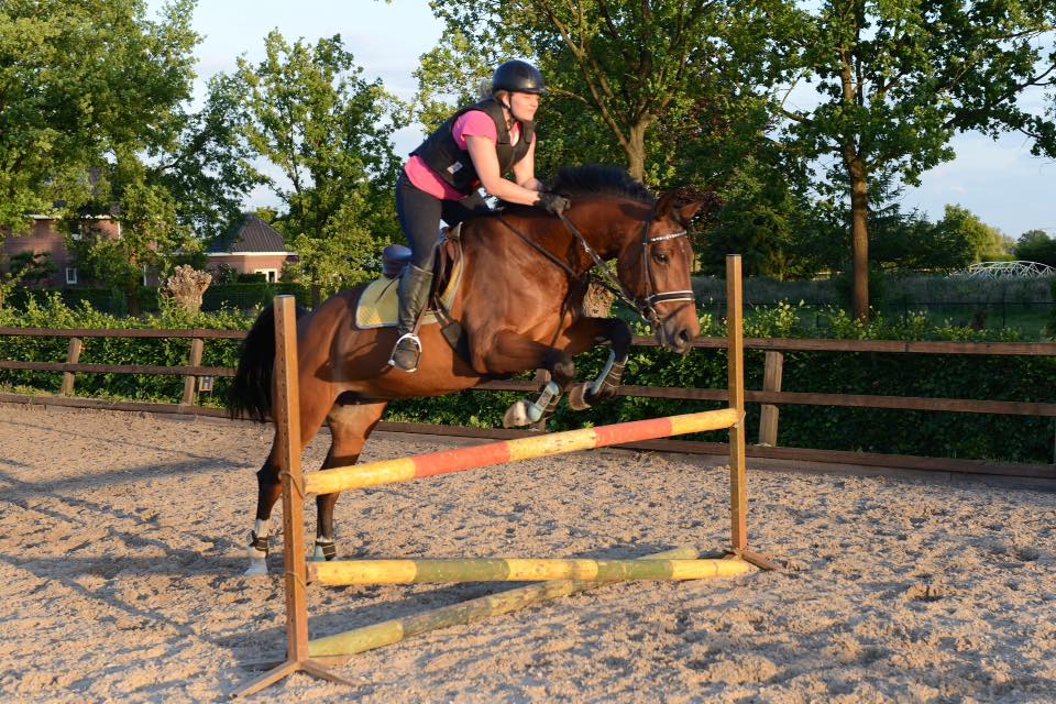 Ruiter springt over een hindernis met een bodyprotector aan