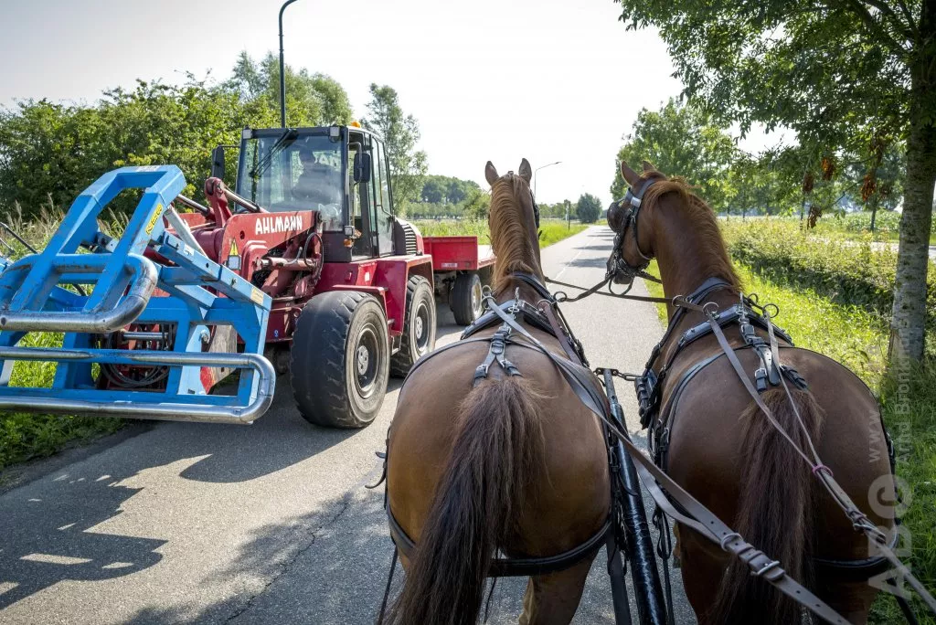 Mennen in het verkeer