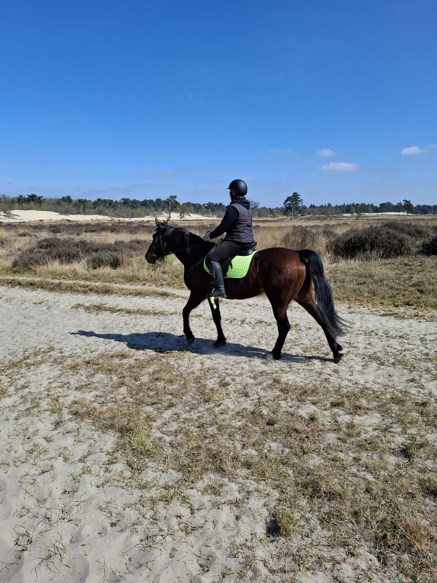 Ruiter met endometriose te paard