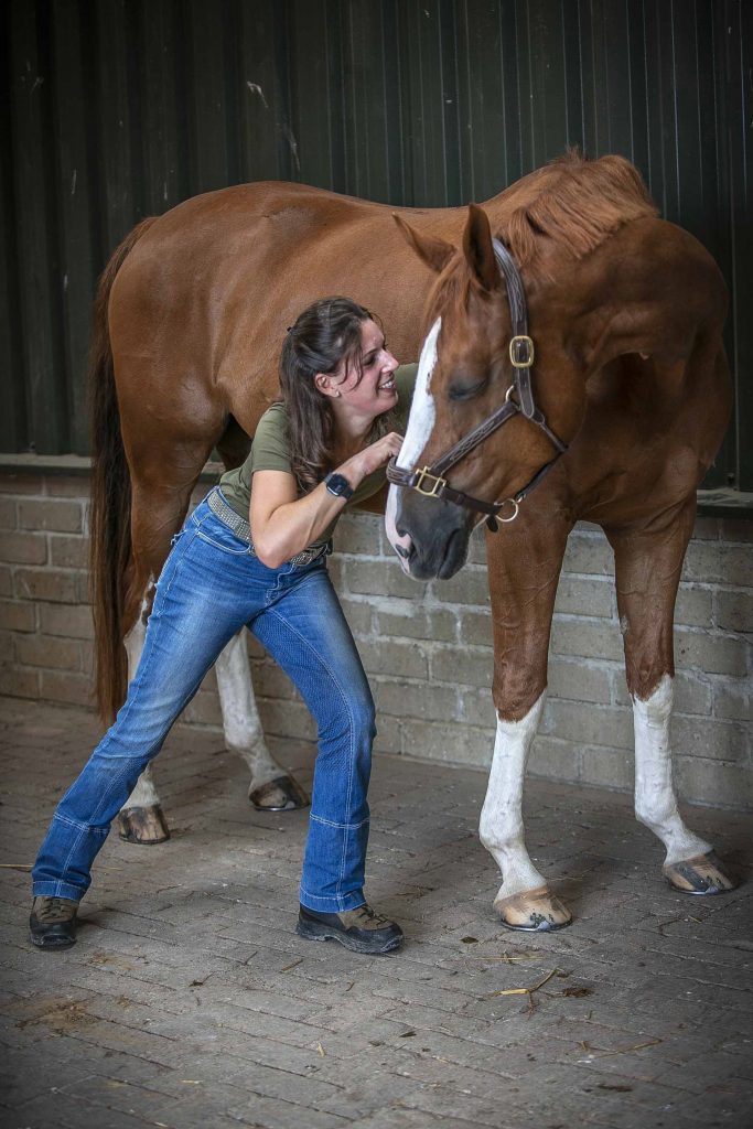 Francis Gommans rekt de nek van een paard op tijdens de dierfysiotherapeutischoe behandeling