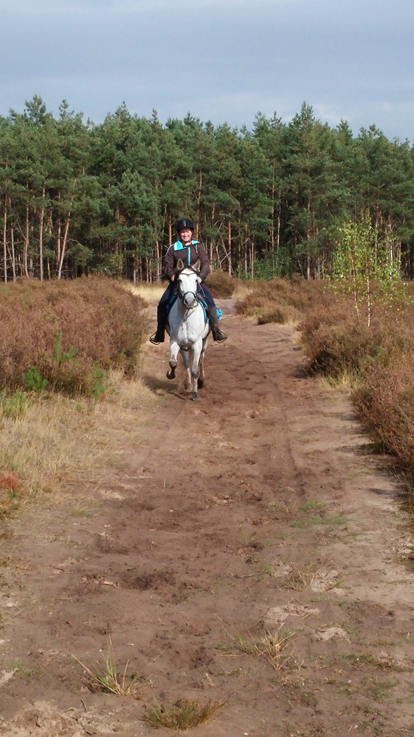 Kitty Wijnen rijdt op haar paard Max die de spierziekte PSSM2 had