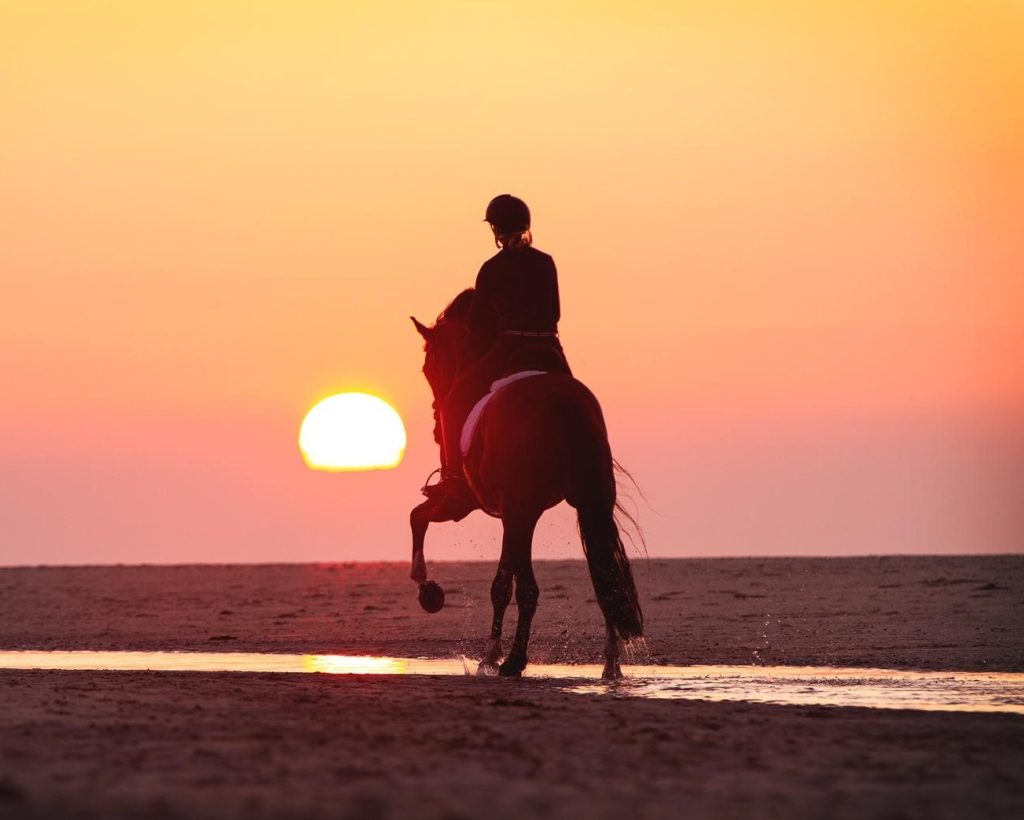 Afbeelding van paard in galop langs het strand met zon op de achtergrond